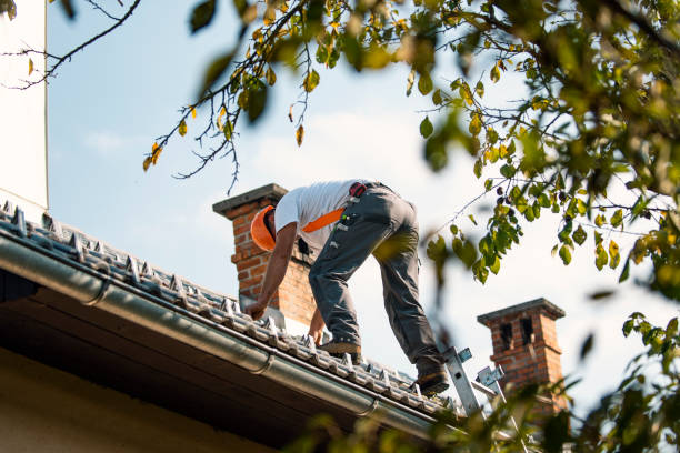 Best Roof Maintenance Services  in Quantico Base, VA