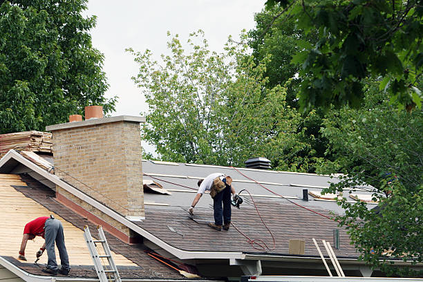 Roof Gutter Cleaning in Quantico Base, VA