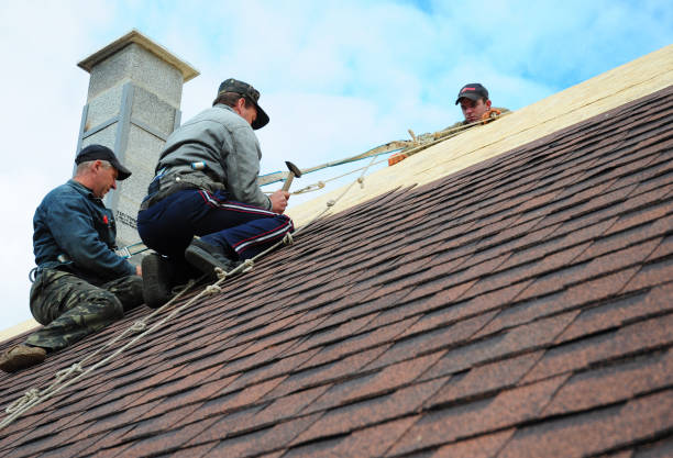Best Roof Waterproofing Services  in Quantico Base, VA