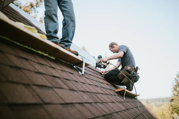 Best Roof Gutter Cleaning  in Quantico Base, VA